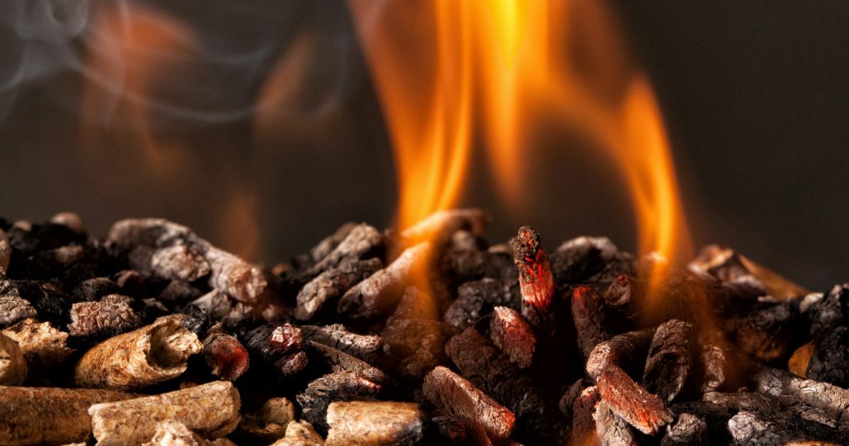 Charcoal vs. Pellet Grills: Ultimate Showdown for Flavor, Versatility & Cost